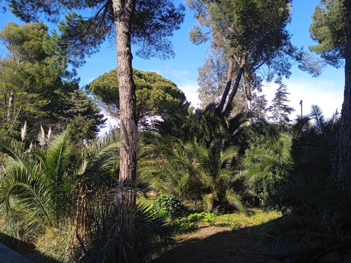 Accesso Diretto Sul Mare Maredilucecala Appartement Calambrone Buitenkant foto