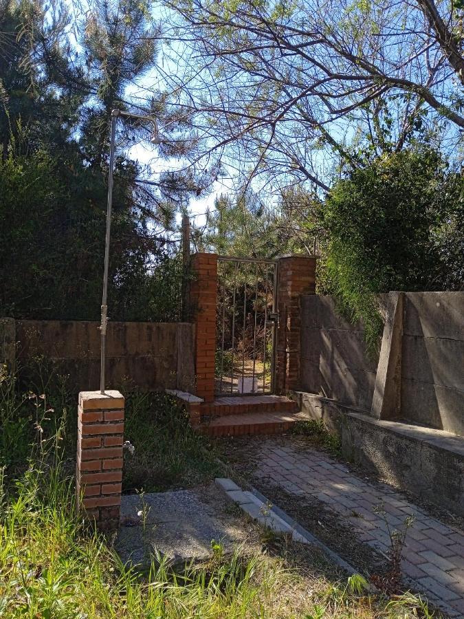 Accesso Diretto Sul Mare Maredilucecala Appartement Calambrone Buitenkant foto