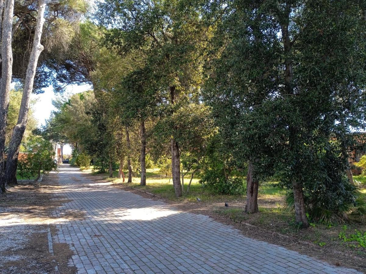 Accesso Diretto Sul Mare Maredilucecala Appartement Calambrone Buitenkant foto