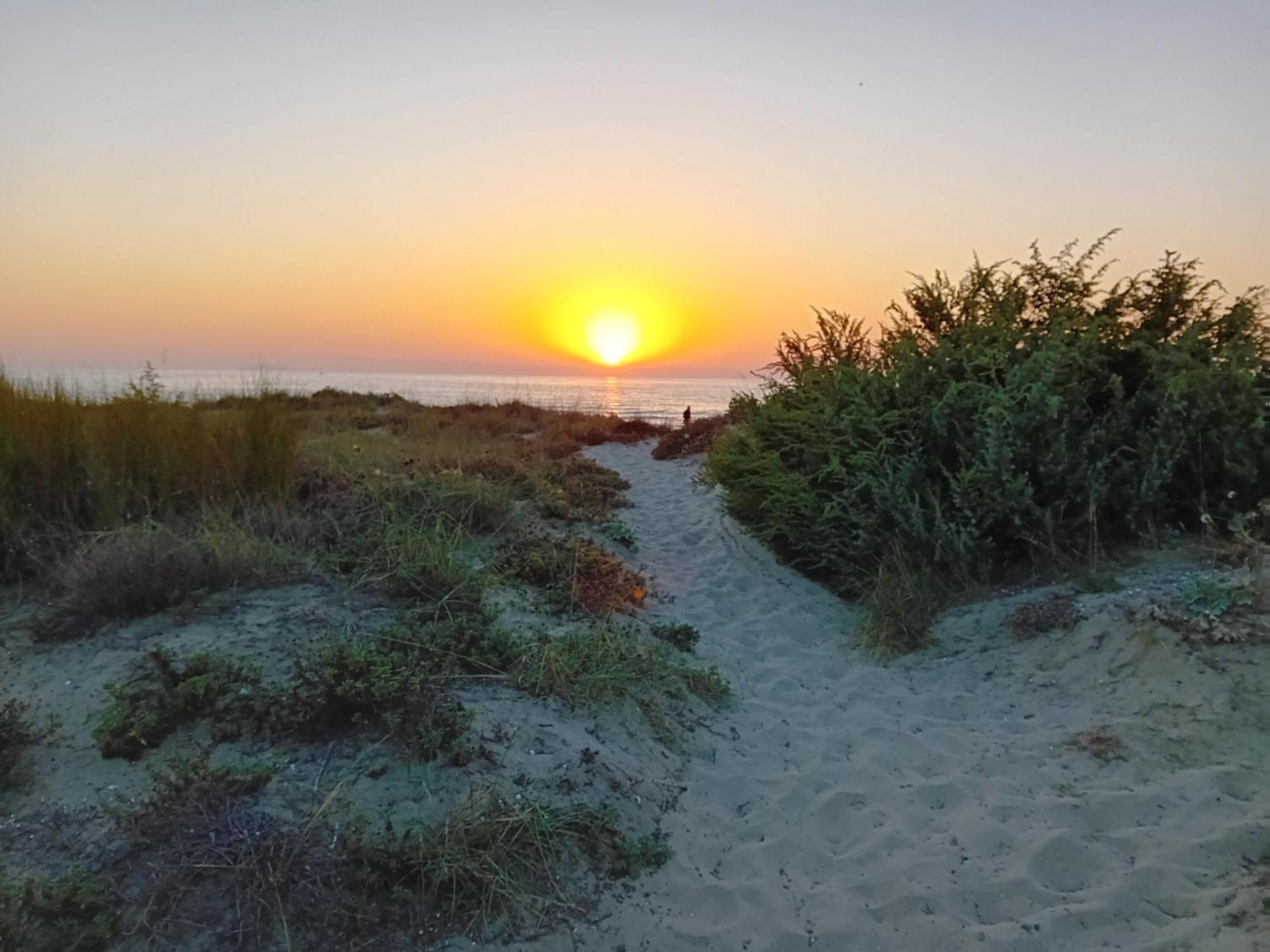 Accesso Diretto Sul Mare Maredilucecala Appartement Calambrone Buitenkant foto